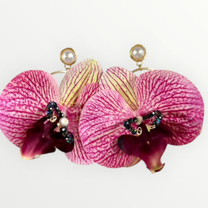 Real phalaenopsis earrings
